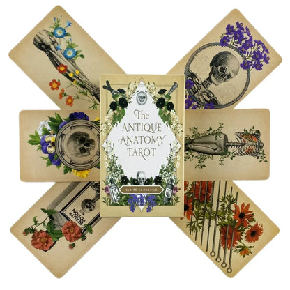 Antique Anatomy Tarot Deck